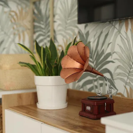 Apartment Borik-lilly Banja Luka