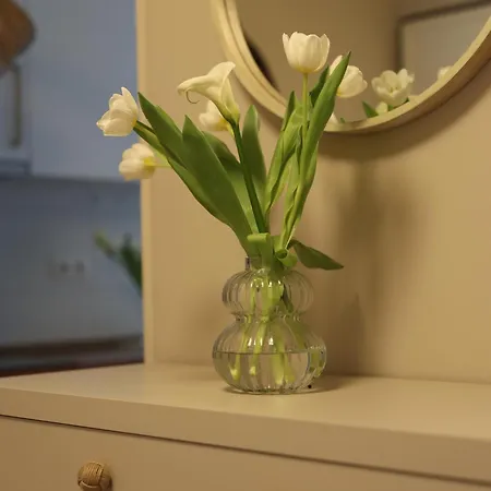 Borik-lilly Apartment *